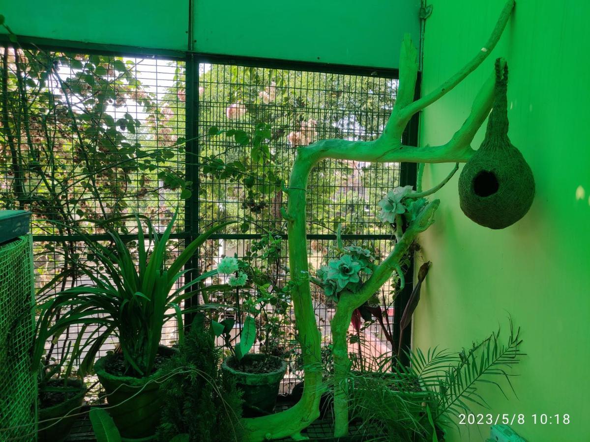 Max Guest House Agra  Exterior foto